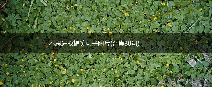 不思进取搞笑句子图片(合集30句),第1张