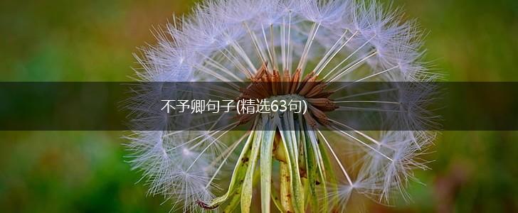 不予卿句子(精选63句),第1张