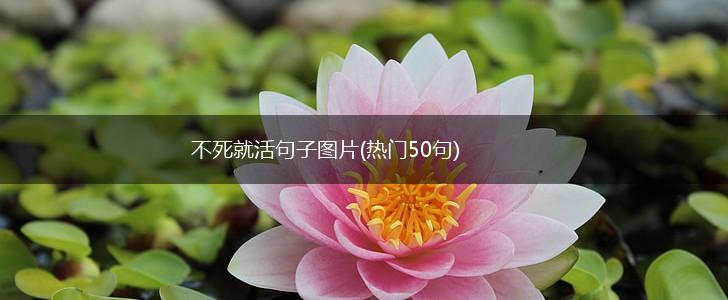 不死就活句子图片(热门50句),第1张