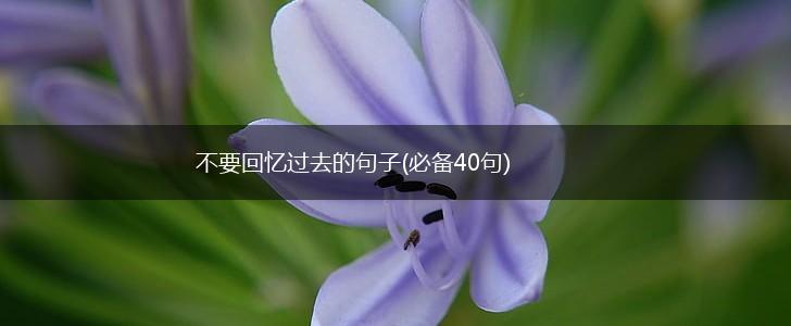 不要回忆过去的句子(必备40句),第1张