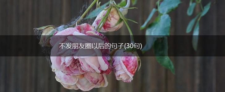 不发朋友圈以后的句子(30句),第1张