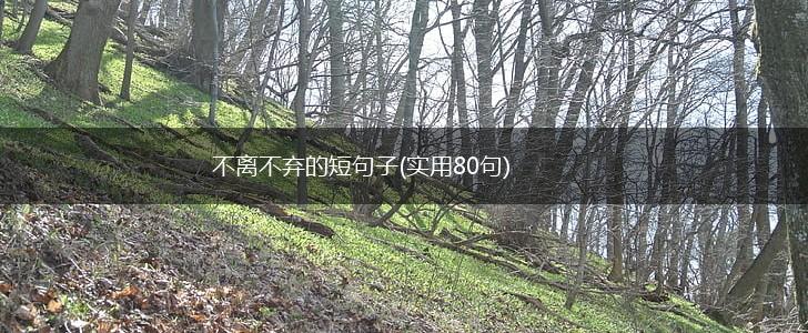 不离不弃的短句子(实用80句),第1张