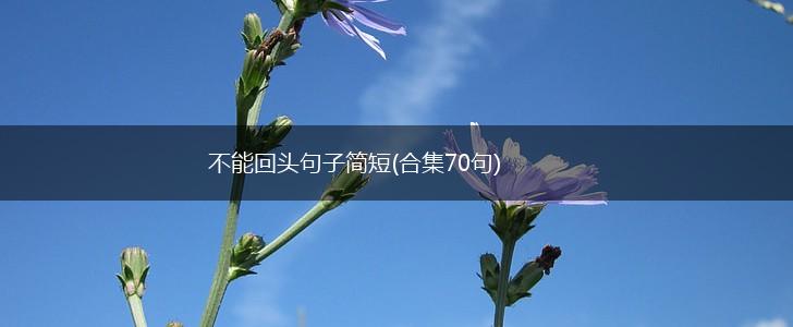 不能回头句子简短(合集70句),第1张