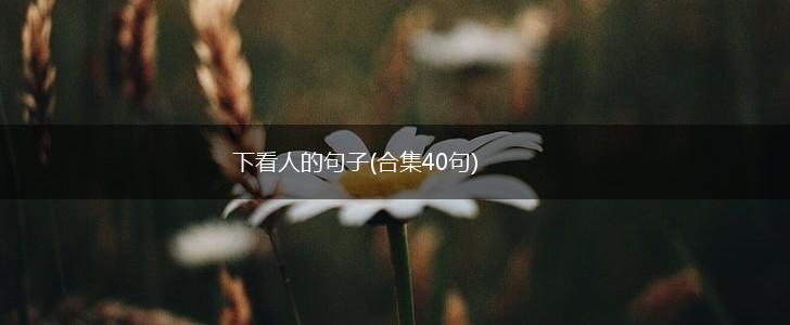 下看人的句子(合集40句),第1张