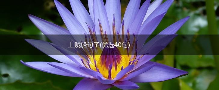上贼船句子(优选40句),第1张