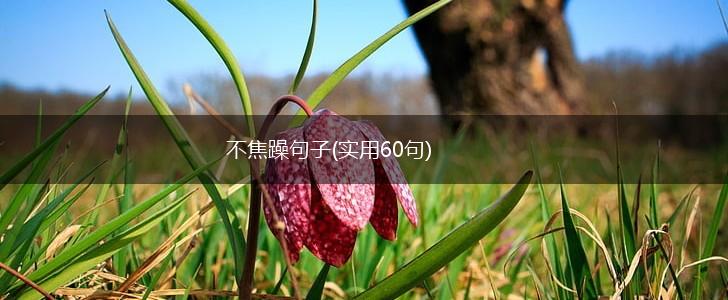 不焦躁句子(实用60句),第1张