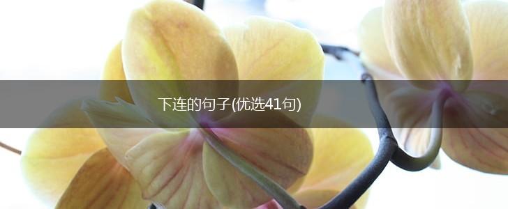 下连的句子(优选41句),第1张