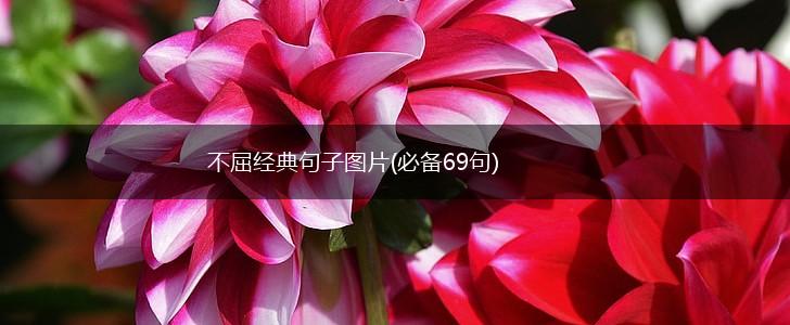 不屈经典句子图片(必备69句),第1张