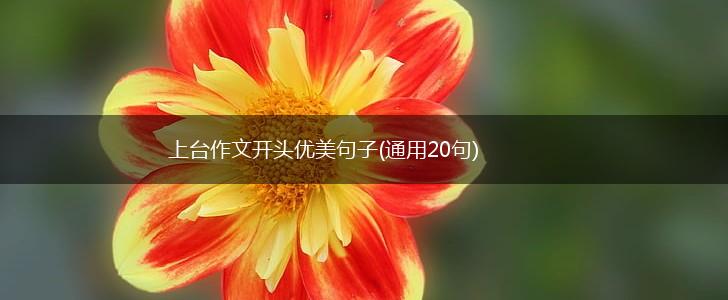 上台作文开头优美句子(通用20句),第1张