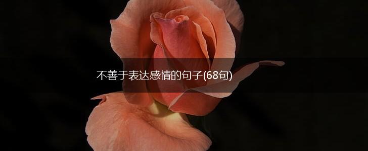 不善于表达感情的句子(68句),第1张