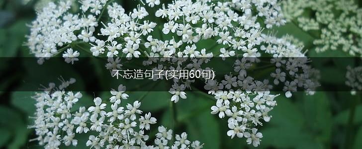 不忘造句子(实用60句),第1张