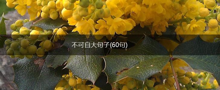 不可自大句子(60句),第1张