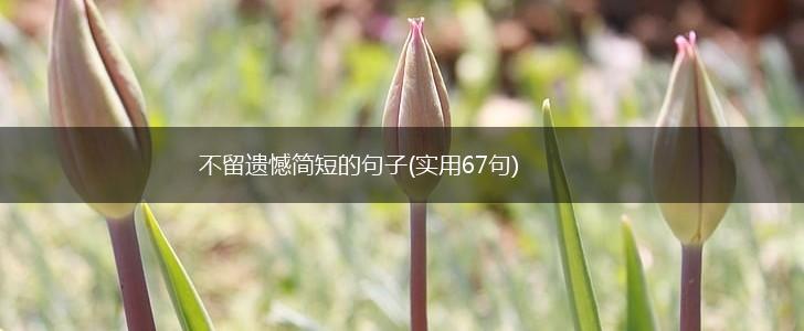 不留遗憾简短的句子(实用67句),第1张