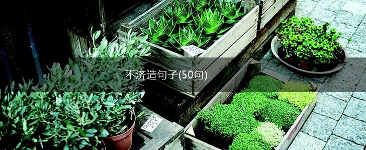不济造句子(50句),第1张