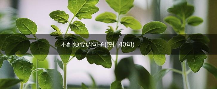 不耐烦腔调句子(热门40句),第1张