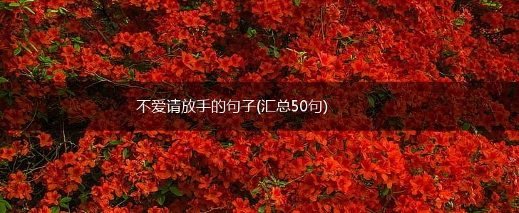 不爱请放手的句子(汇总50句),第1张