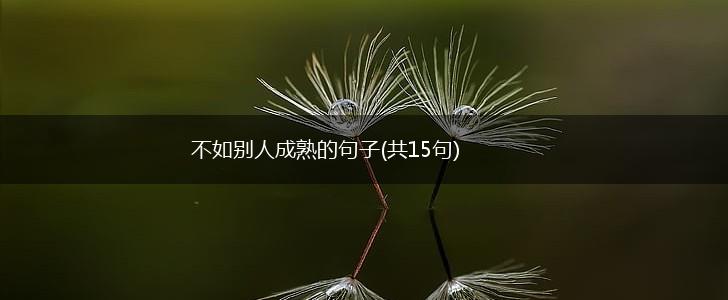 不如别人成熟的句子(共15句),第1张