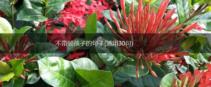 不带领孩子的句子(通用30句),第1张