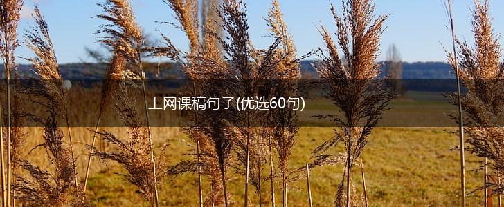 上网课稿句子(优选60句),第1张