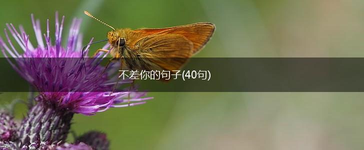 不差你的句子(40句),第1张