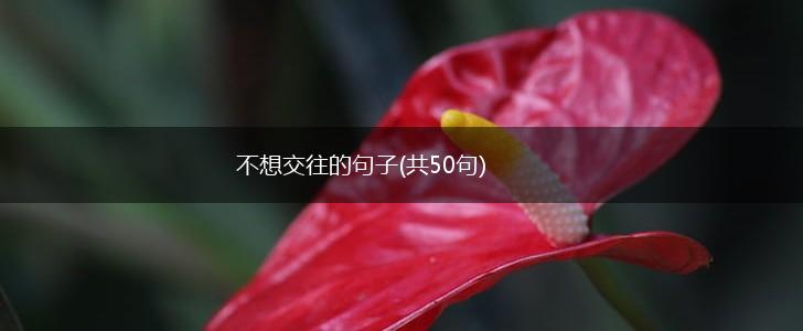 不想交往的句子(共50句),第1张