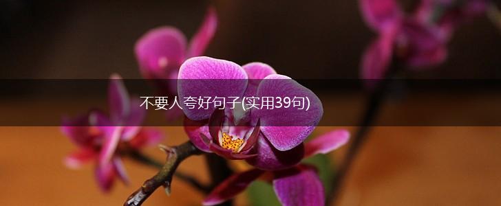 不要人夸好句子(实用39句),第1张