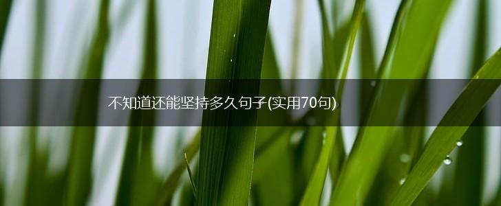 不知道还能坚持多久句子(实用70句),第1张