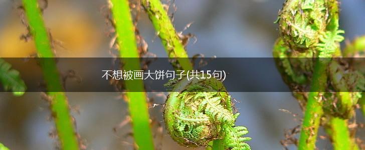 不想被画大饼句子(共15句),第1张 不想被画大饼句子(共15句),第1张