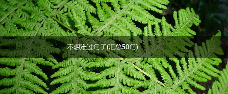 不想难过句子(汇总50句),第1张