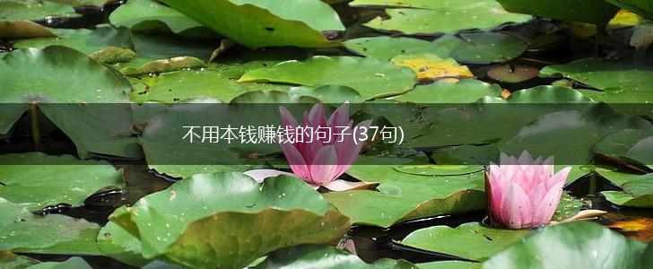 不用本钱赚钱的句子(37句),第1张