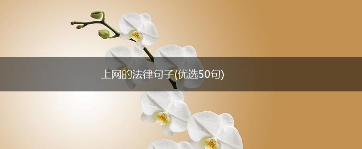 上网的法律句子(优选50句),第1张