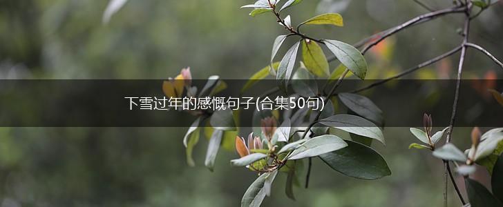 下雪过年的感慨句子(合集50句),第1张