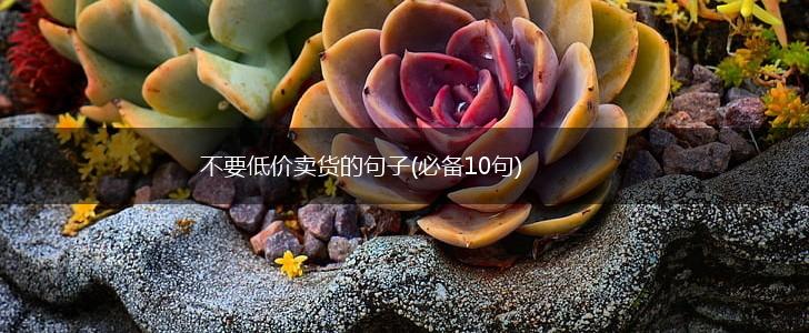 不要低价卖货的句子(必备10句),第1张