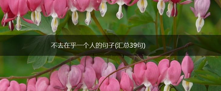 不去在乎一个人的句子(汇总39句),第1张