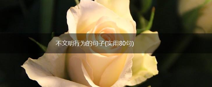 不文明行为的句子(实用80句),第1张