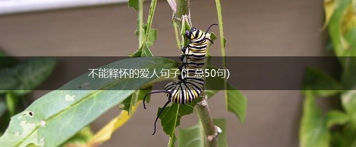 不能释怀的爱人句子(汇总50句),第1张