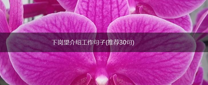 下岗望介绍工作句子(推荐30句),第1张