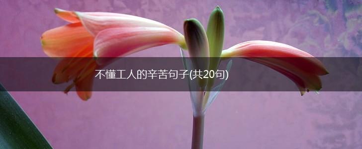 不懂工人的辛苦句子(共20句),第1张