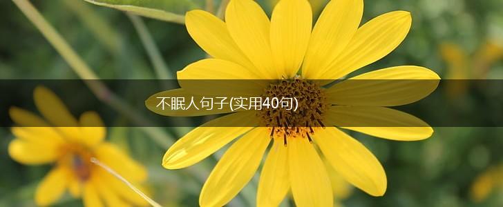 不眠人句子(实用40句),第1张