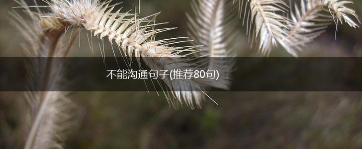不能沟通句子(推荐80句),第1张
