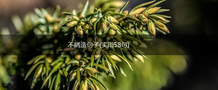 不屑造句子(实用58句),第1张