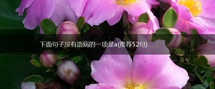 下面句子没有语病的一项是a(推荐52句),第1张
