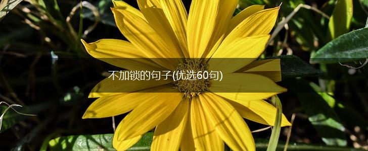 不加锁的句子(优选60句),第1张