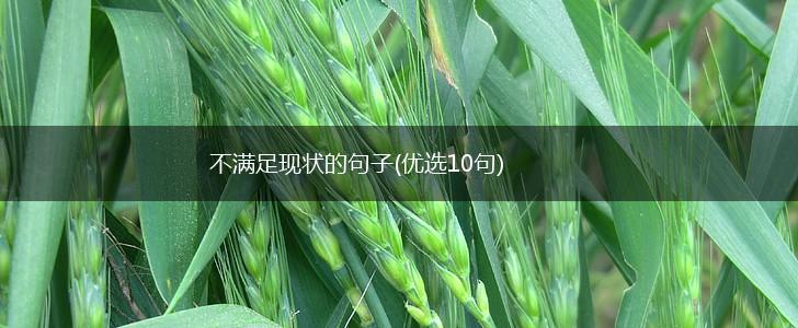 不满足现状的句子(优选10句),第1张