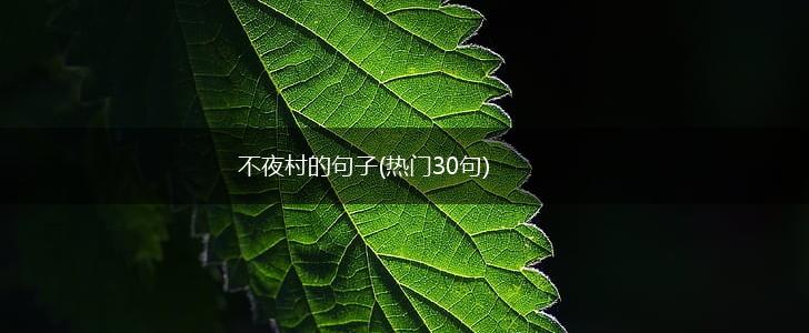 不夜村的句子(热门30句),第1张