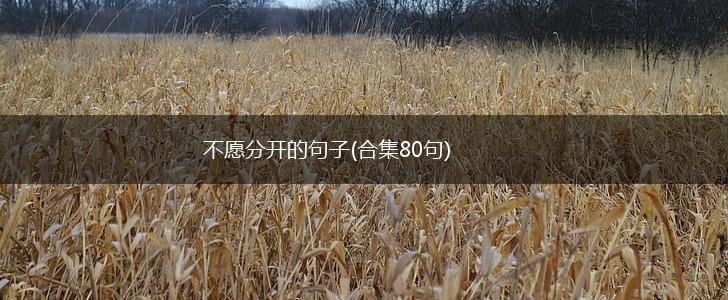 不愿分开的句子(合集80句),第1张