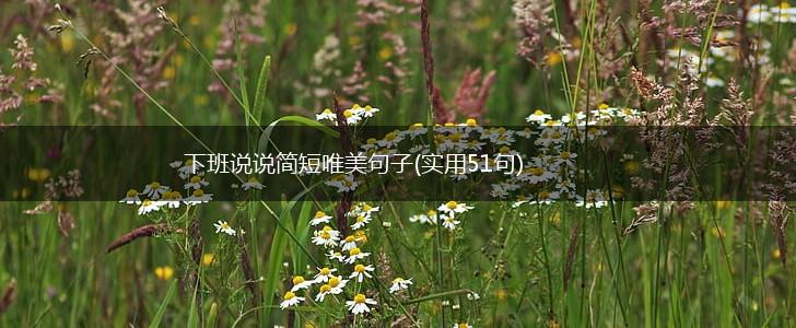 下班说说简短唯美句子(实用51句),第1张