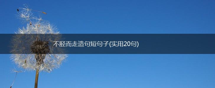 不胫而走造句短句子(实用20句),第1张