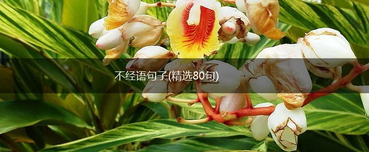 不经语句子(精选80句),第1张