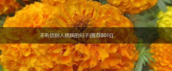 不听信别人挑拨的句子(推荐80句),第1张